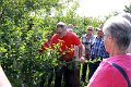 Sommerschnittkurs 2017 KLG--5